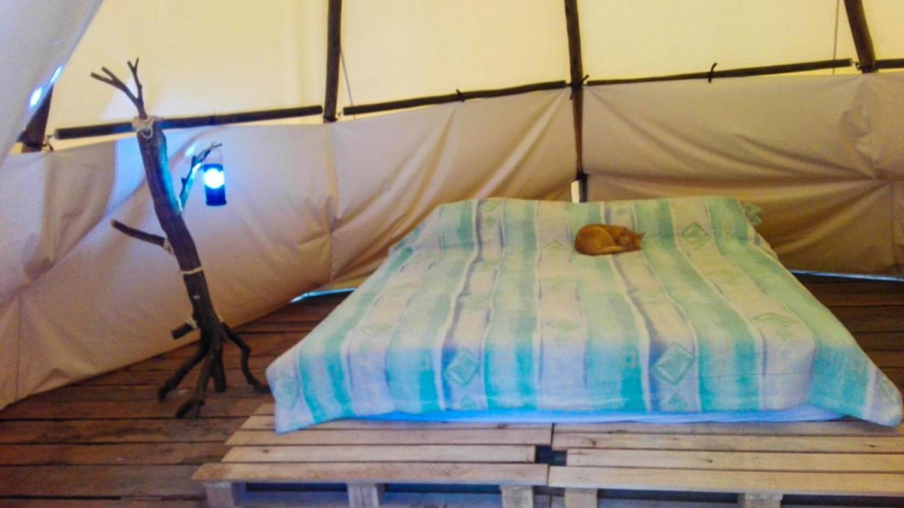 Matanza Hostal Las Valkirias المظهر الخارجي الصورة